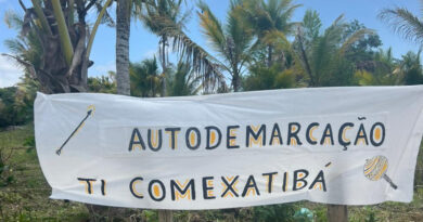 Terra Indígena Comexatibá. Foto: Eduardo Pataxó/@edupataxo